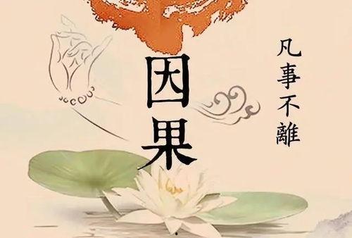 报应的图片,报应的视觉诠释