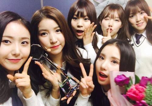 gfriend成员个人资料,青春活力与音乐才华的完美融合