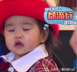 包可艾饺子表情包,萌动你的日常，传递欢乐瞬间