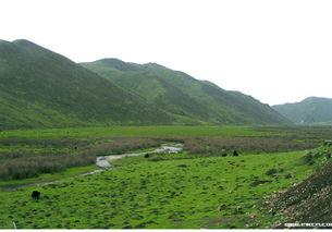 夏河照片,探寻藏地秘境的美丽画卷